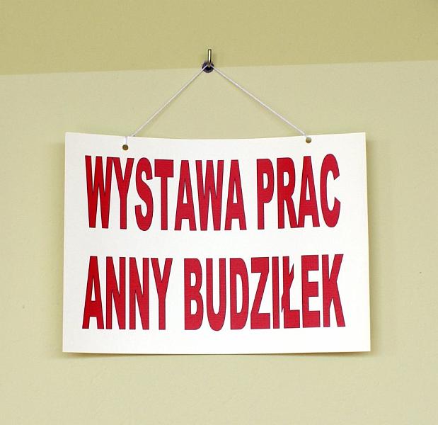 dsc01567.jpg - Wystawa prac Anny Budziłek - Biblioteka w Kadzidle, maj 2008